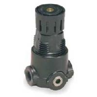 R03-01-MP0 R03-01-MP0 Wilkerson Min Reg Panel Nut 1-30PSI from WILKERSON